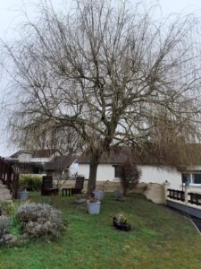 Chantier Pensée Paysage