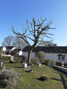 Chantier Pensée Paysage