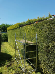 Chantier Pensée Paysage